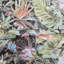 Papier peint métallique avec plantes tropicales Armany