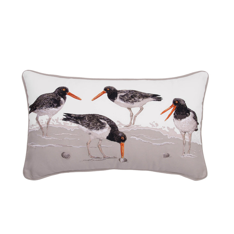 Coussin Oystercatcher