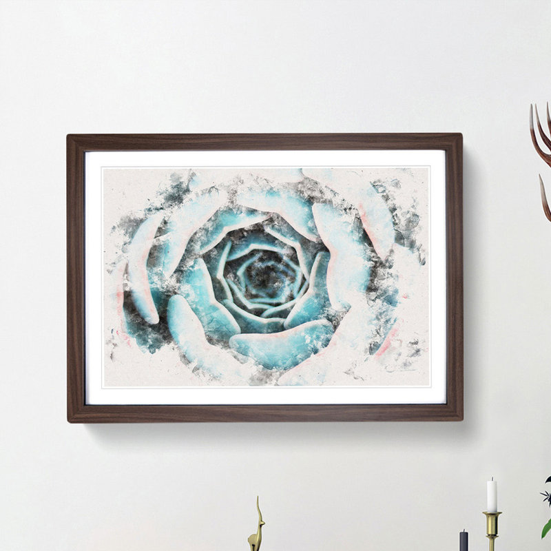 Pink & Green Succulent Plant - Picture Frame Painting Print, 24cm H x 33cm W x 2cm D, Walnut Framed