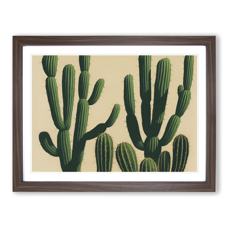 A Contemporary Cactus - Framed Print, 46cm H x 64cm W x 2cm D, Walnut