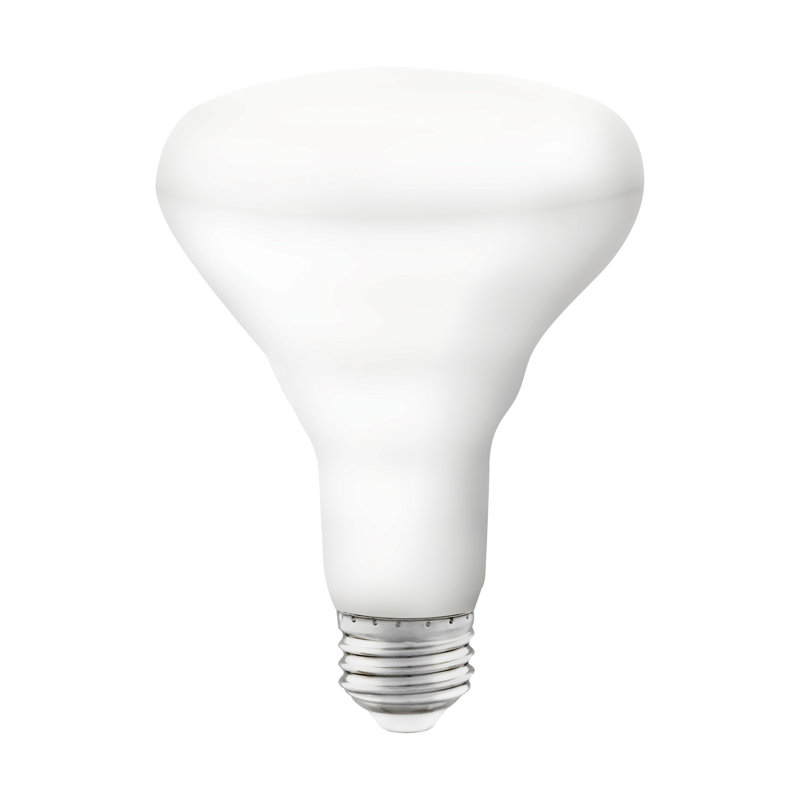 9.5 W BR30 E26/Medium (Standard) LED Smart Bulb