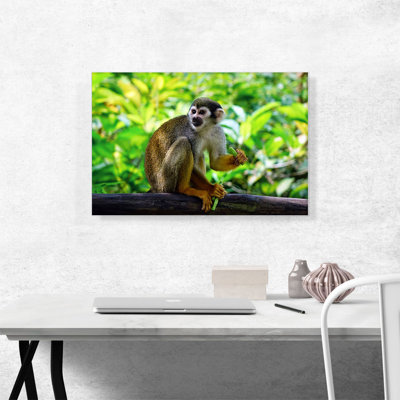 " Monkey In The Jungle "