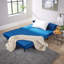 Lonara Two Seater Upholstered Double Sofa Bed-477722741