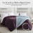 Vilano Springs ® Oversized Down Alternative Comforter with piped Edging and corner loops, Easy care-420232240-420232233