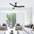 Kamy 52'' Ceiling Fan with LED Lights