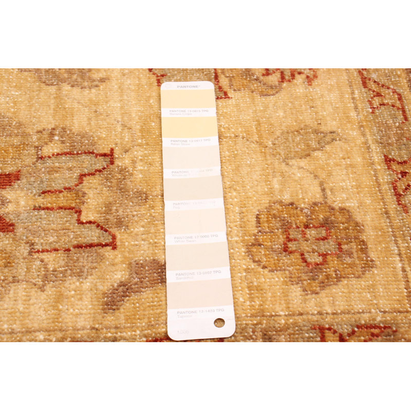 Tapis crème / brun en laine noué à la main de conception unique 5 pi 2 po x 7 pi 7 po Vesile