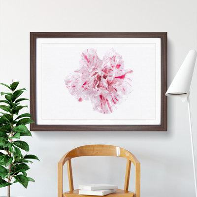 Striking White & Pink Carnation - Picture Frame Graphic Art