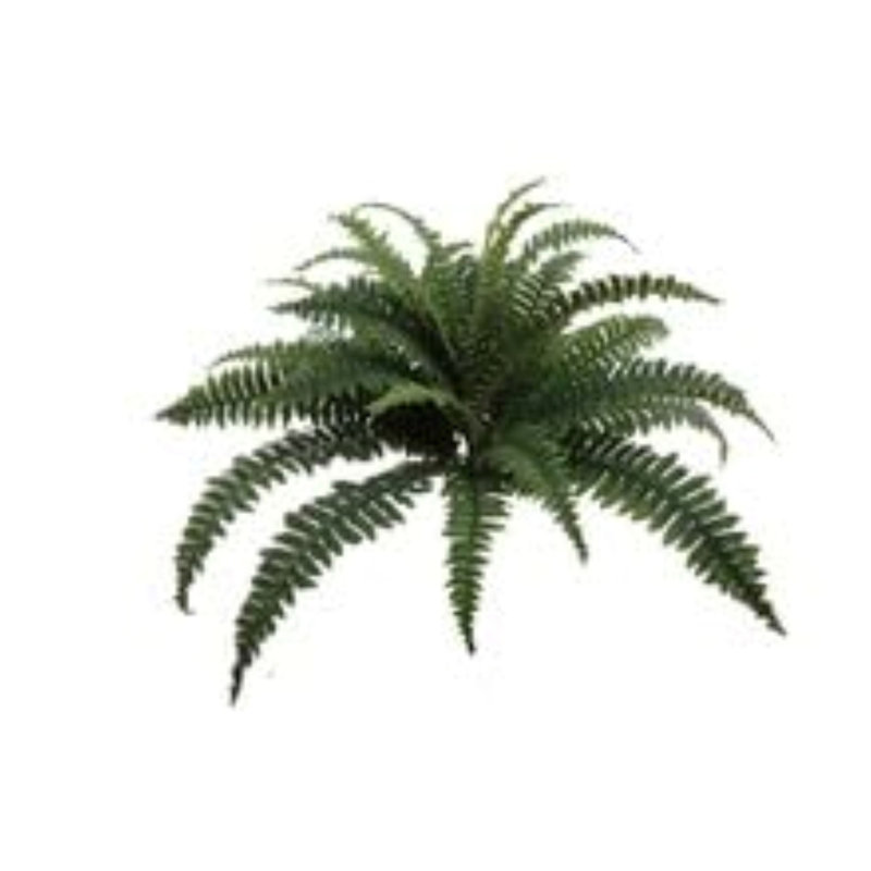 2 pièces 34 "plantes de fougère Boston - 30 feuilles de soie, printemps 2025