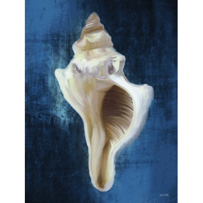 " Conch Shell Blues II " by House Fenway