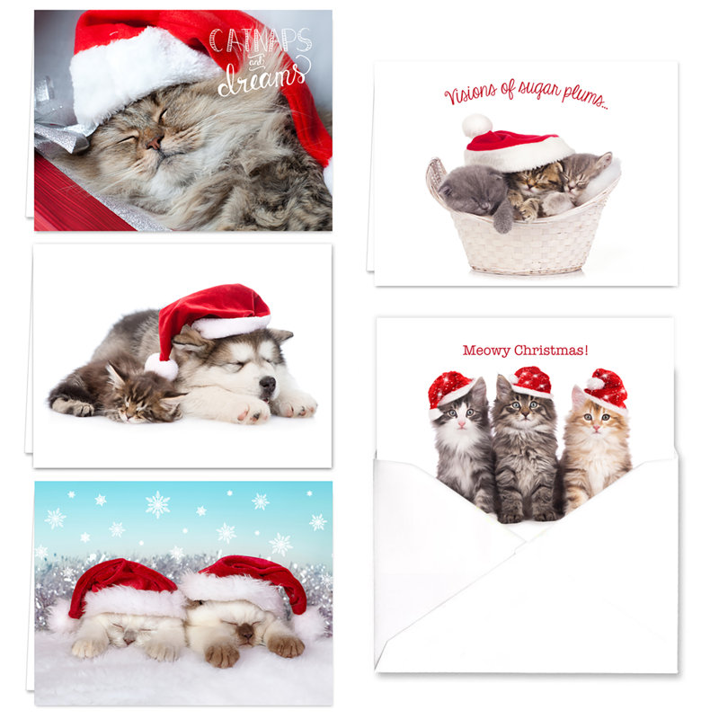 Cats Holiday Card