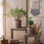 Jardinière Waltrude-24473230