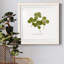 «Pressed Clover I», reproduction encadrée de qualité supérieure - prête à être accrochée-1872557679-1872557677-1872520561