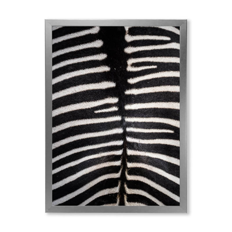 Peau de zèbre - reproduction de cadre photo sur toile, H 32 po x l 16 po x P 1 po, Toile avec cadre photo argenté