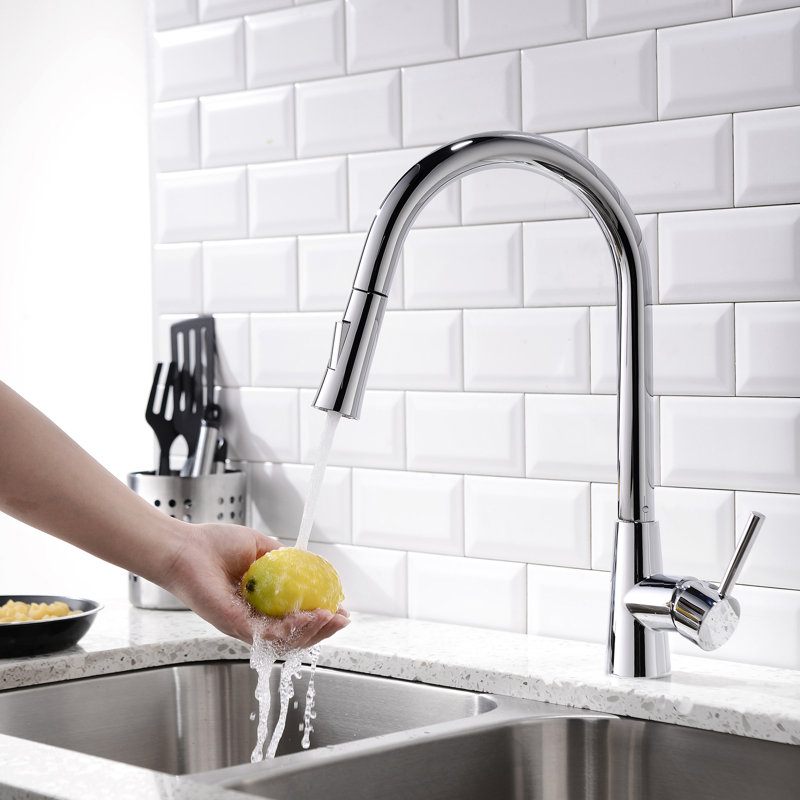 Belfry Kitchen Freelon Pull Out Kitchen Faucet
