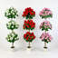 150cm Plant