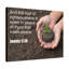 Fruit Of Righteousness James 3:18 - Wrapped Canvas Print-211825345
