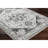 Mikel Traditional Charcoal Area Rug-1638169162