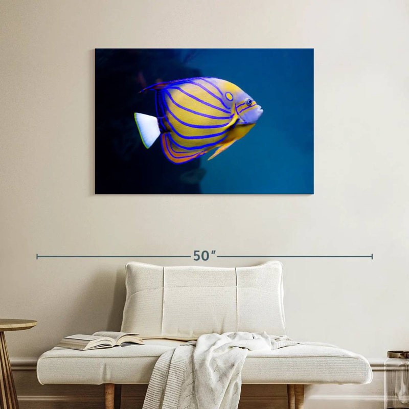 Brampt Colorful Angelfish, 26" H x 39" W