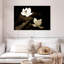 Fleurs de lotus Harnek-107680235