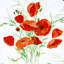 Joni Chintz Fabric-49817644