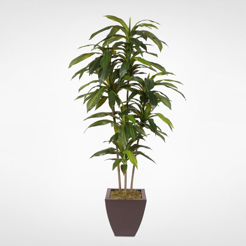 Real Touch Faux Dracaena Tree in Metal Planter