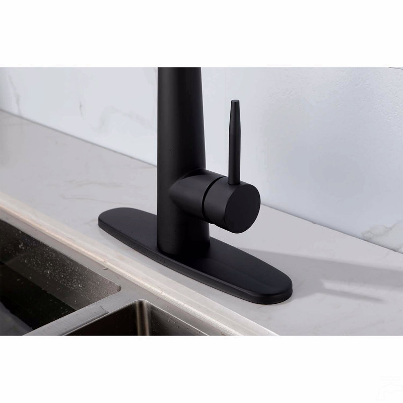 Single Handle Stainless Steel Kitchen Sink Faucet With Pull Down Sprayer, Matte Black