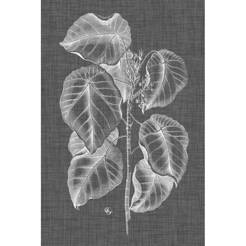 Graphic Foliage IV by Vision Studio - Wrapped Canvas Print, 46cm H x 30cm W x 3.8cm D