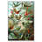 " Haeckel - Bird Study "-67049459-67049462