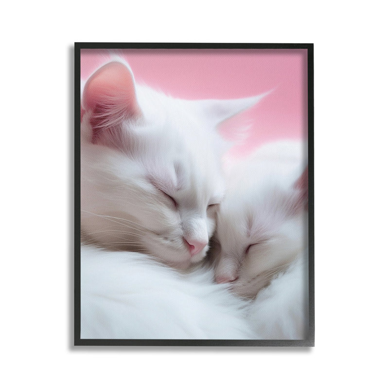 «Sleeping Cats on Pink», estampe numérique encadrée par RB, Giclée encadrée noir minuit, H 30 po x l 24 po