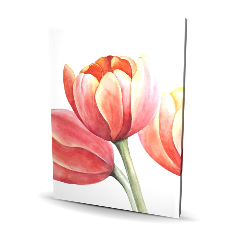 Three Tulips Closeup - Floral Canvas for Home Decor