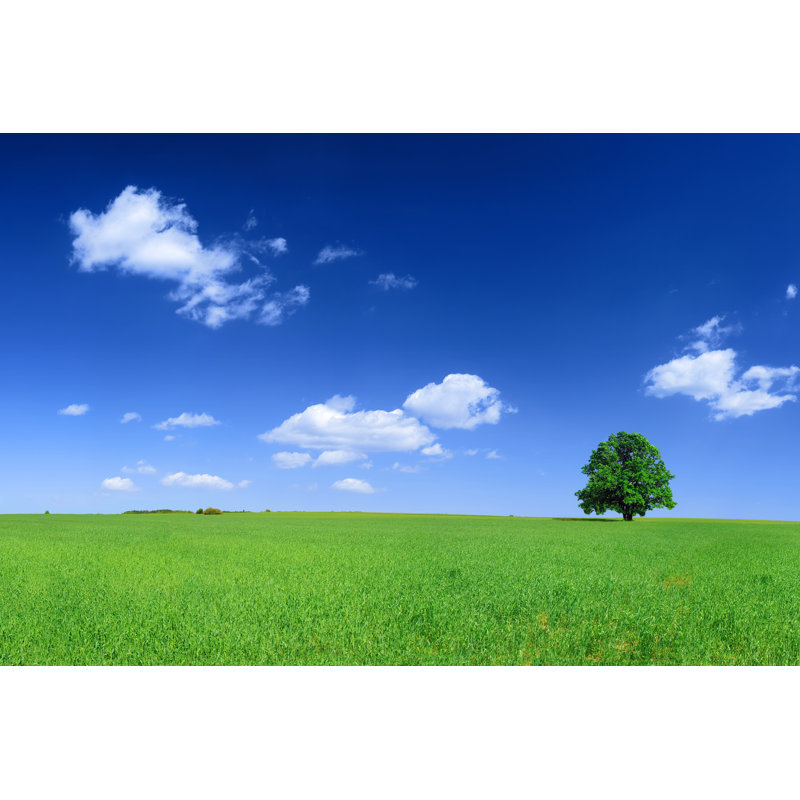 Green Field Landscape by Konradlew - No Frame Art Prints on Canvas, 51cm H x 76cm W