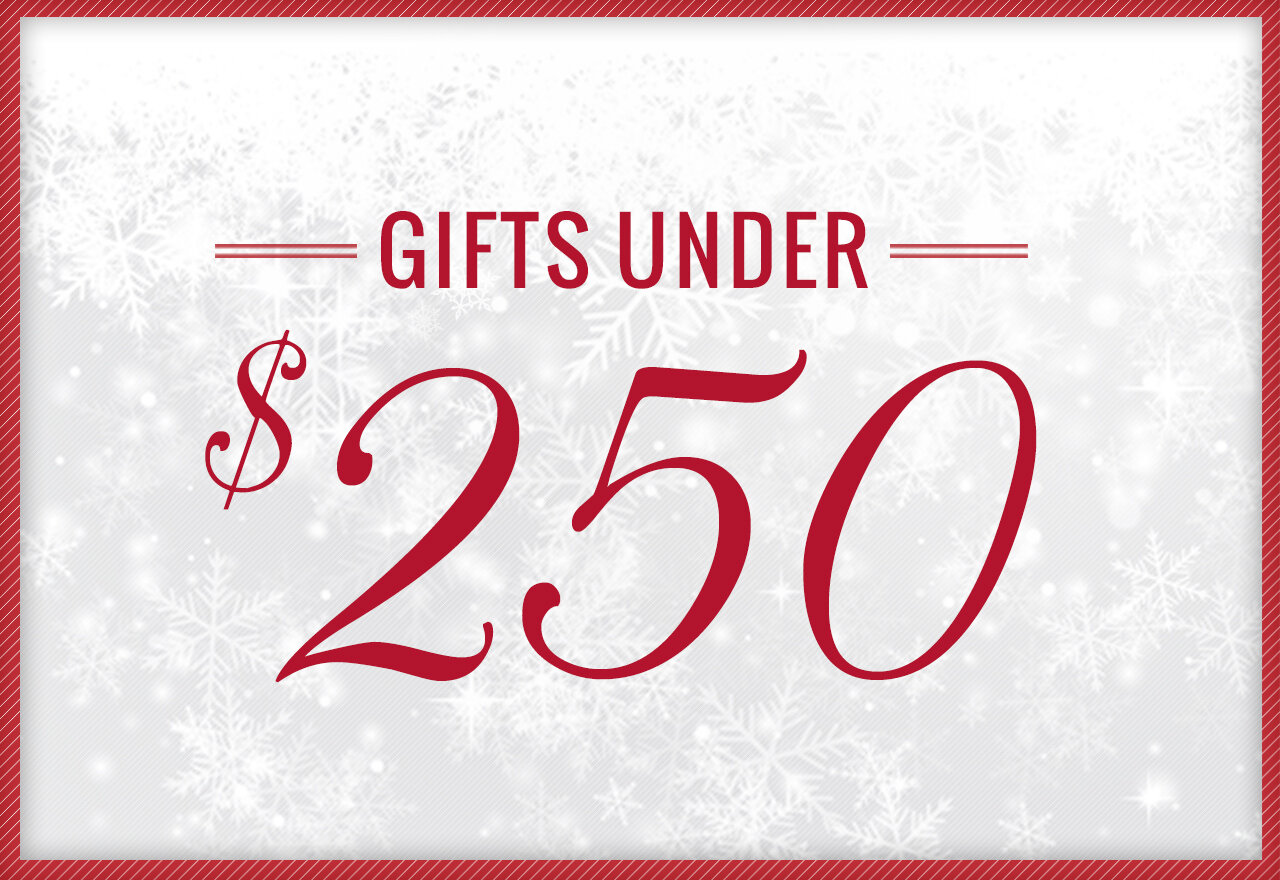 [BIG SALE] Gifts Under $250 You’ll Love In 2024 | Wayfair