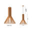 Luminaire suspendu conique 1 lumière Lecuyer-1606176939