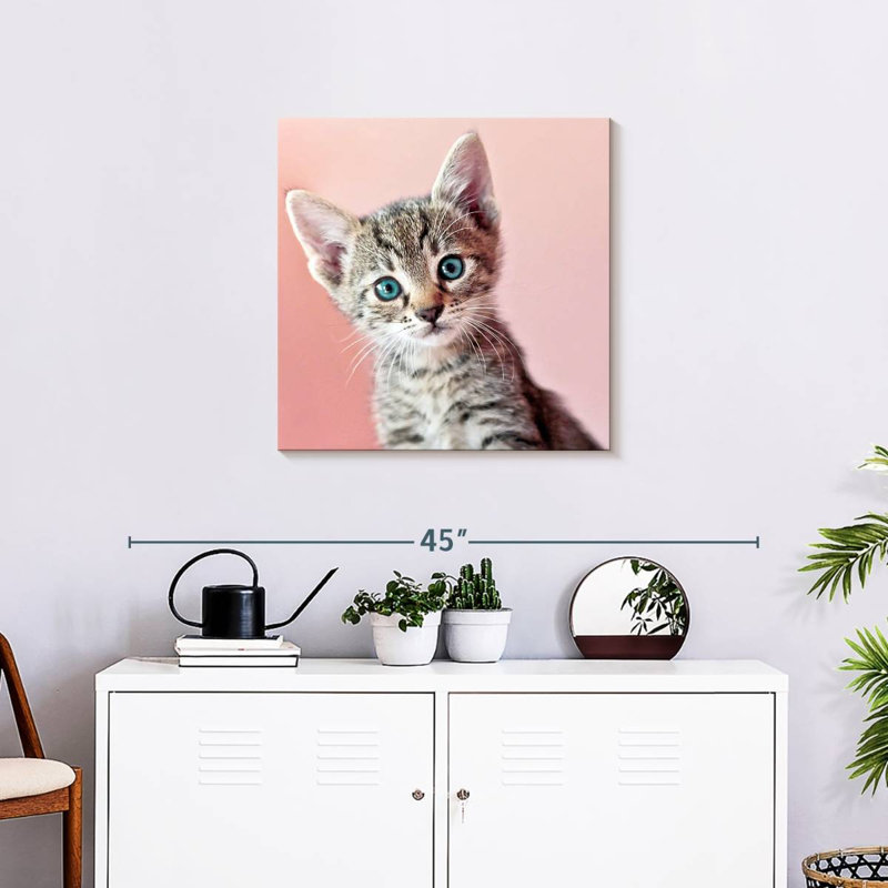 Crowle Staring Cat, 24" H x 24" W