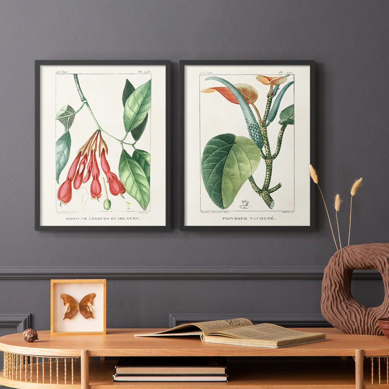 «Turpin Tropical Botanicals I», reproduction encadrée de qualité supérieure - prête à être accrochée - aucun clou requis