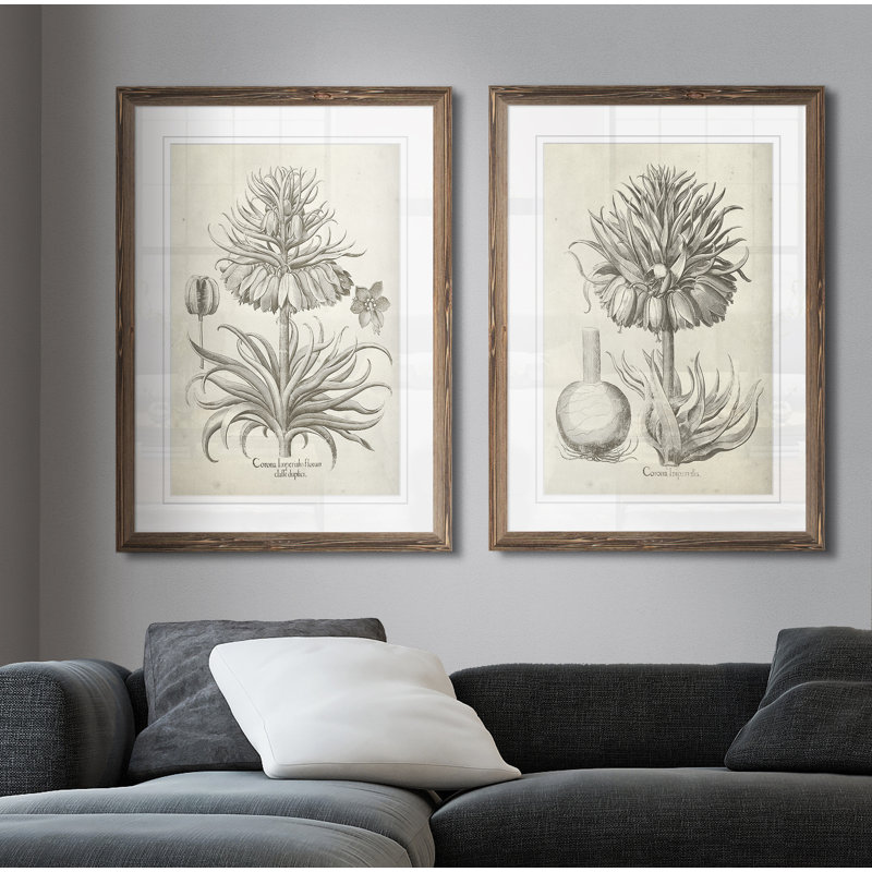 «Fresco Crown Imperial II», ensemble de 2 reproductions d'art encadrées, H 24 po x l 18 po x P 1,25 po, Cadre espresso, Blanc