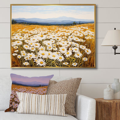 Symphonie de marguerites blanches sur le terrain