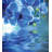 Floral Duvet Cover
