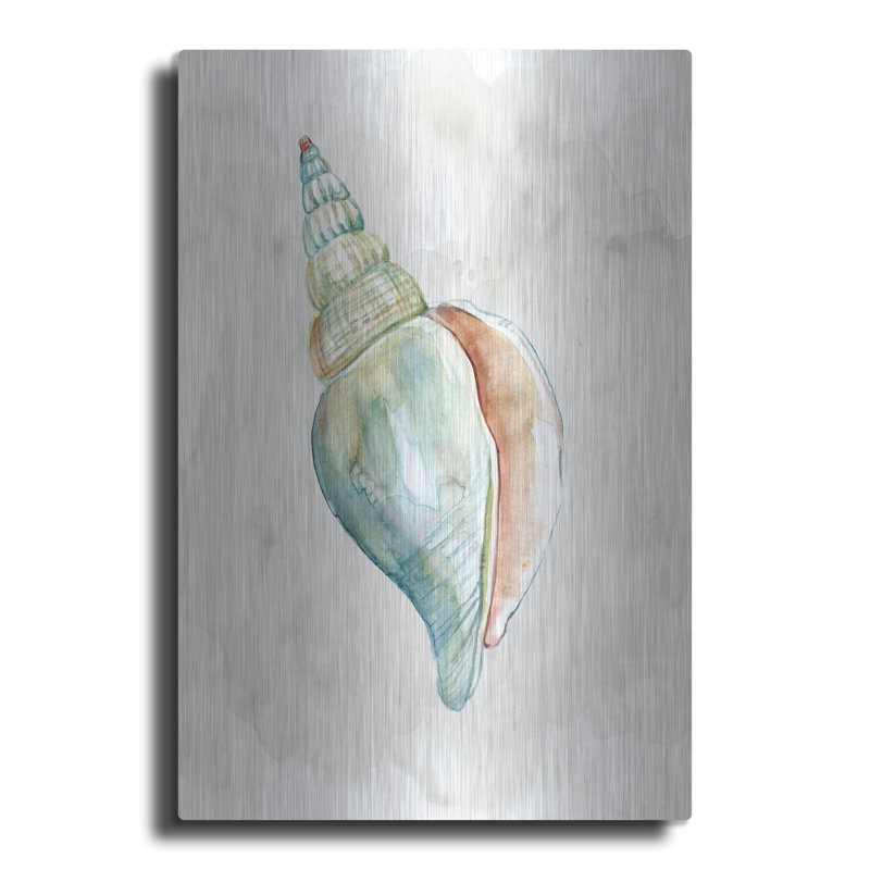 «Pastel Shell II» par Carol Robinson, H 16 po x l 12 po