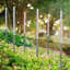 Garden Stake Set-2012141721-2012141726
