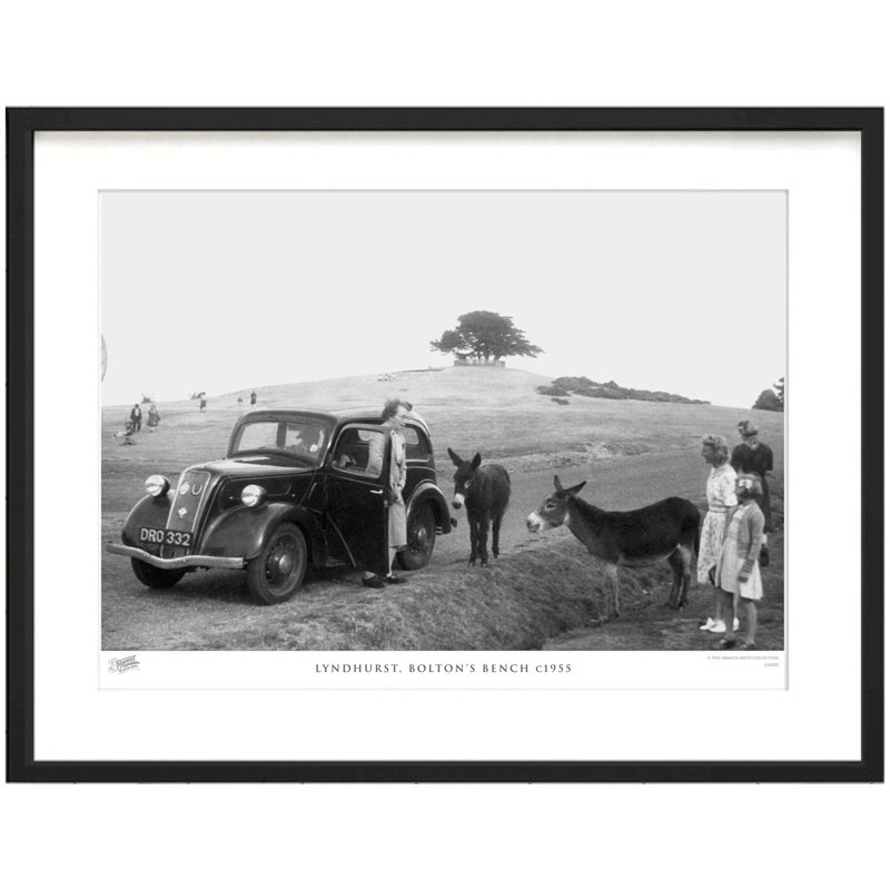 Lyndhurst, Bolton's Bench C1955 by Francis Frith - Single Picture Frame Print, 45cm H x 60cm W x 2.3cm D