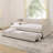Multifunctional Daybed With USB Charging, Pull-Out Extendable Bed, And Elegant Button-Tufted Design For Modern Living-931234004