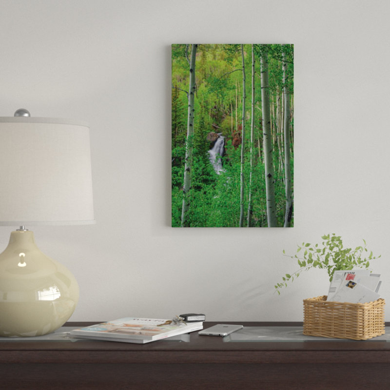 « wilderness chute » par bill sherrell, reproduction d’impression sur toile tendue, H 12 po x l 8 po x P 0,75 po
