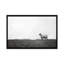Photographie « islay ovin ii »-43719470-43719464