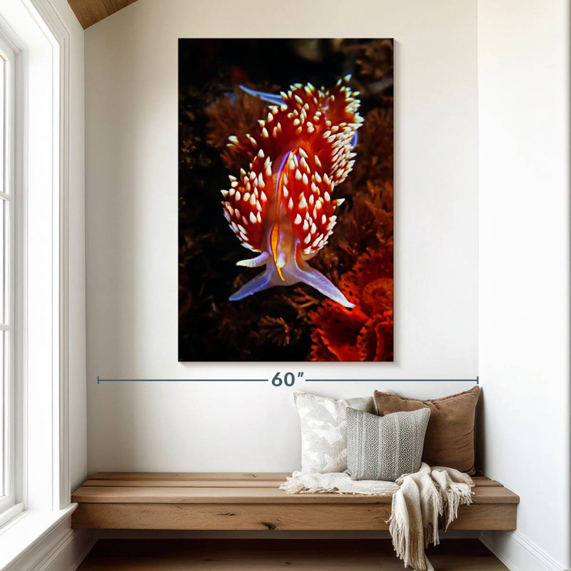 Brampt Exotic Nudibranch, 51" H x 34" W