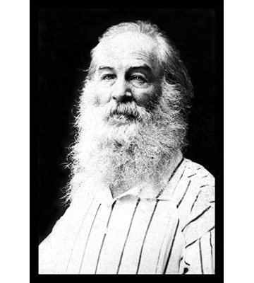« walt whitman » par mathew brady-reproduction de photo sans cadre