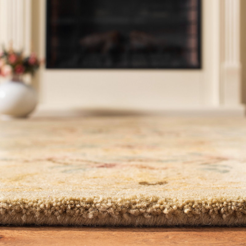 Tapis en laine touffeté à la main Molter, Rectangle 8 pi x 5 pi