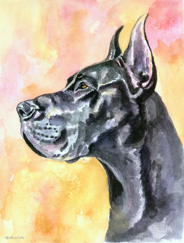 Great Dane Double Sided 40'' H x 28'' W Polyester Animal House Flag