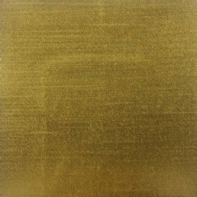 Textured Solid Velvet | Namur Fabric