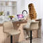 Joneer Upholstered Adjustable Height Counter Stool with Metal Frame-1140781554